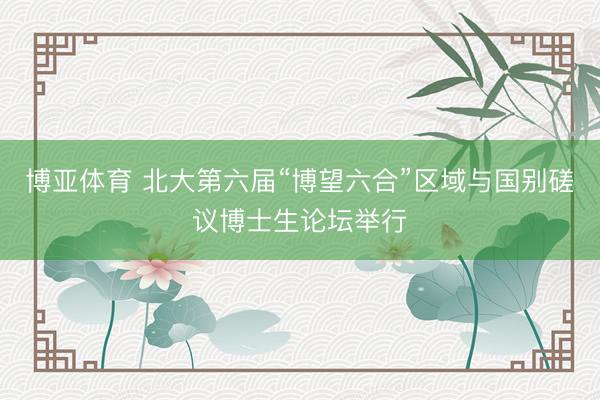 博亚体育 北大第六届“博望六合”区域与国别磋议博士生论坛举行