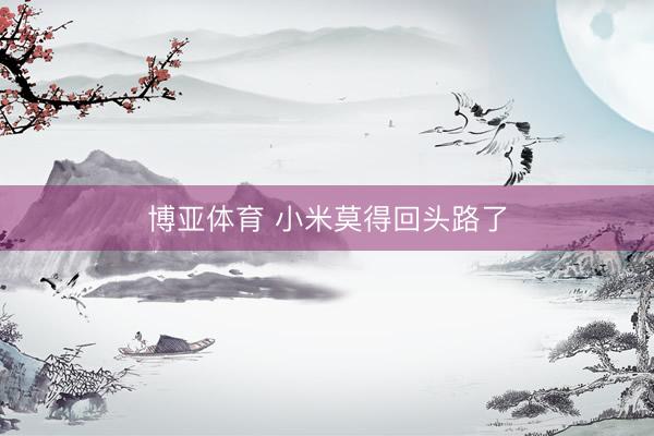 博亚体育 小米莫得回头路了