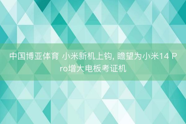 中国博亚体育 小米新机上钩， 瞻望为小米14 Pro增大电板考证机