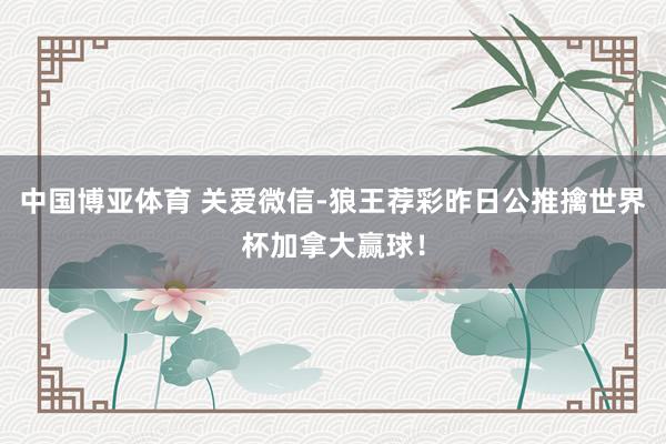 中国博亚体育 关爱微信-狼王荐彩昨日公推擒世界杯加拿大赢球!
